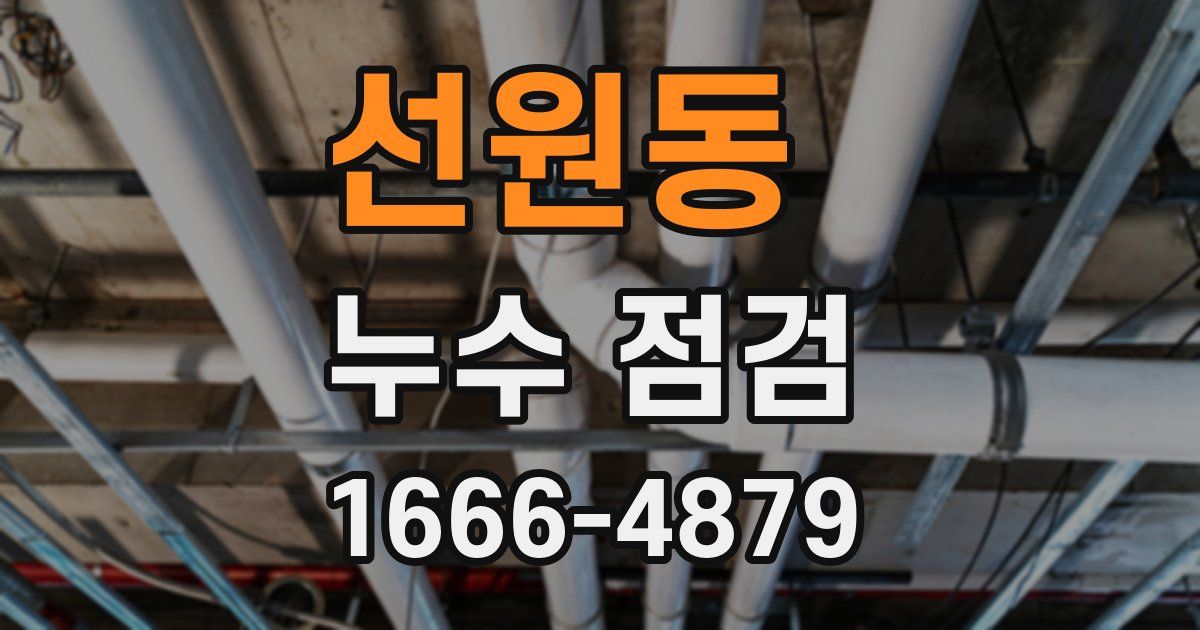 선원동 누수 점검