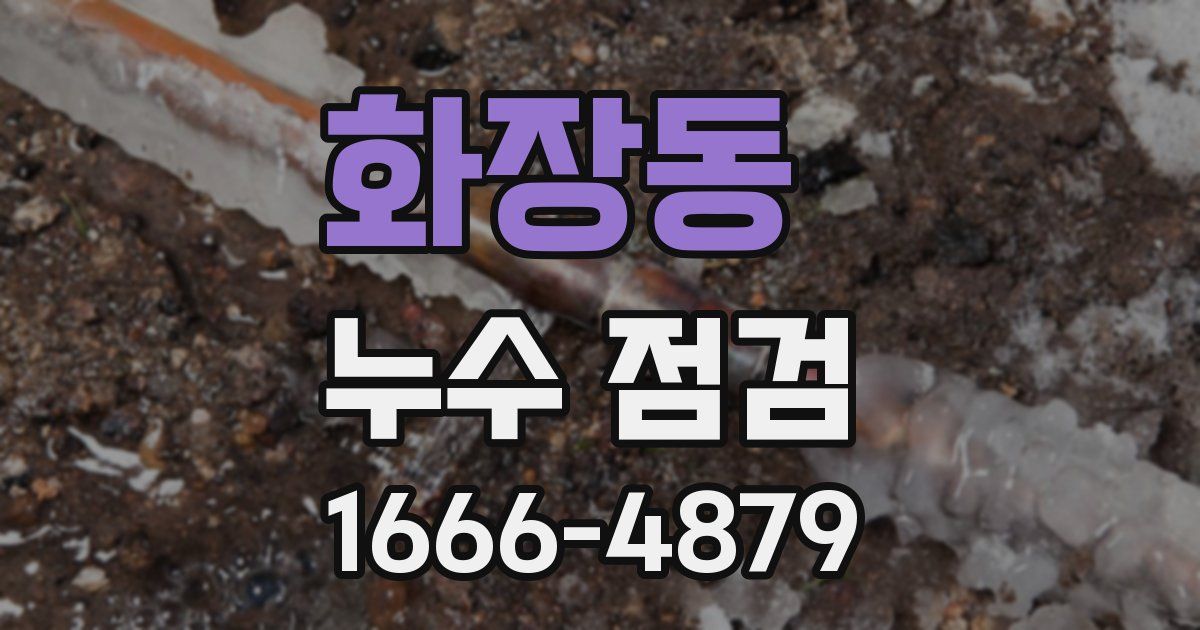 화장동 누수 점검