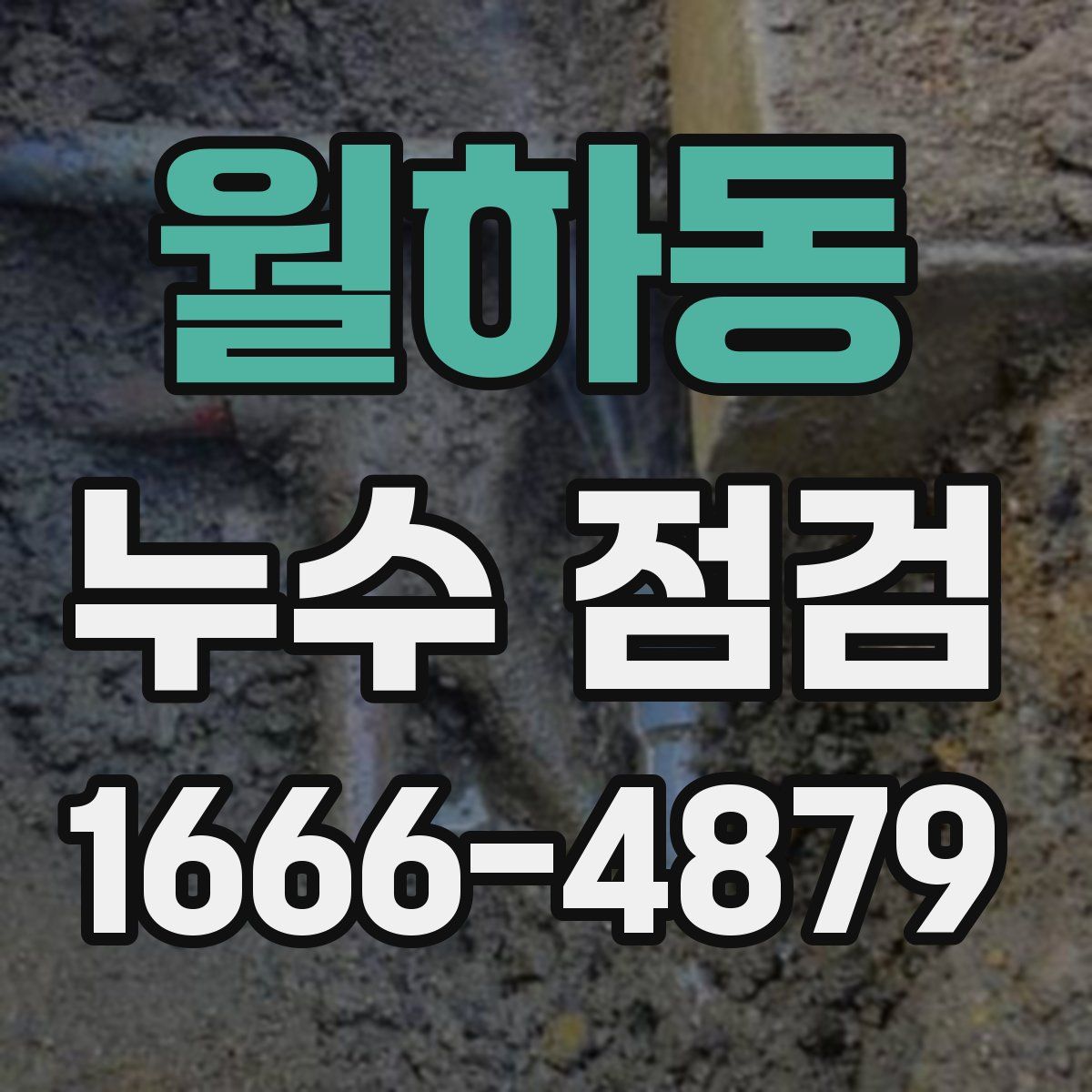 월하동 누수 점검