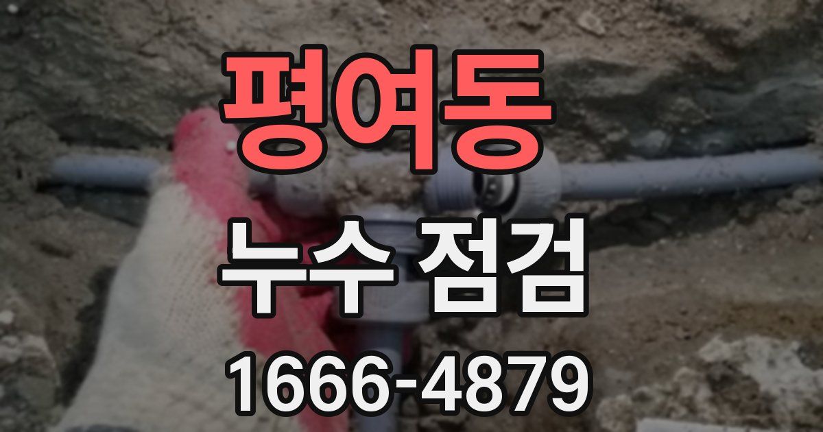 평여동 누수 점검