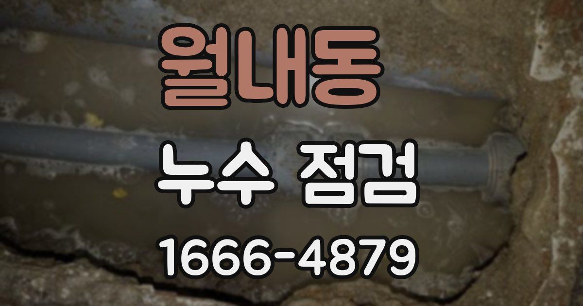 월내동 누수 점검