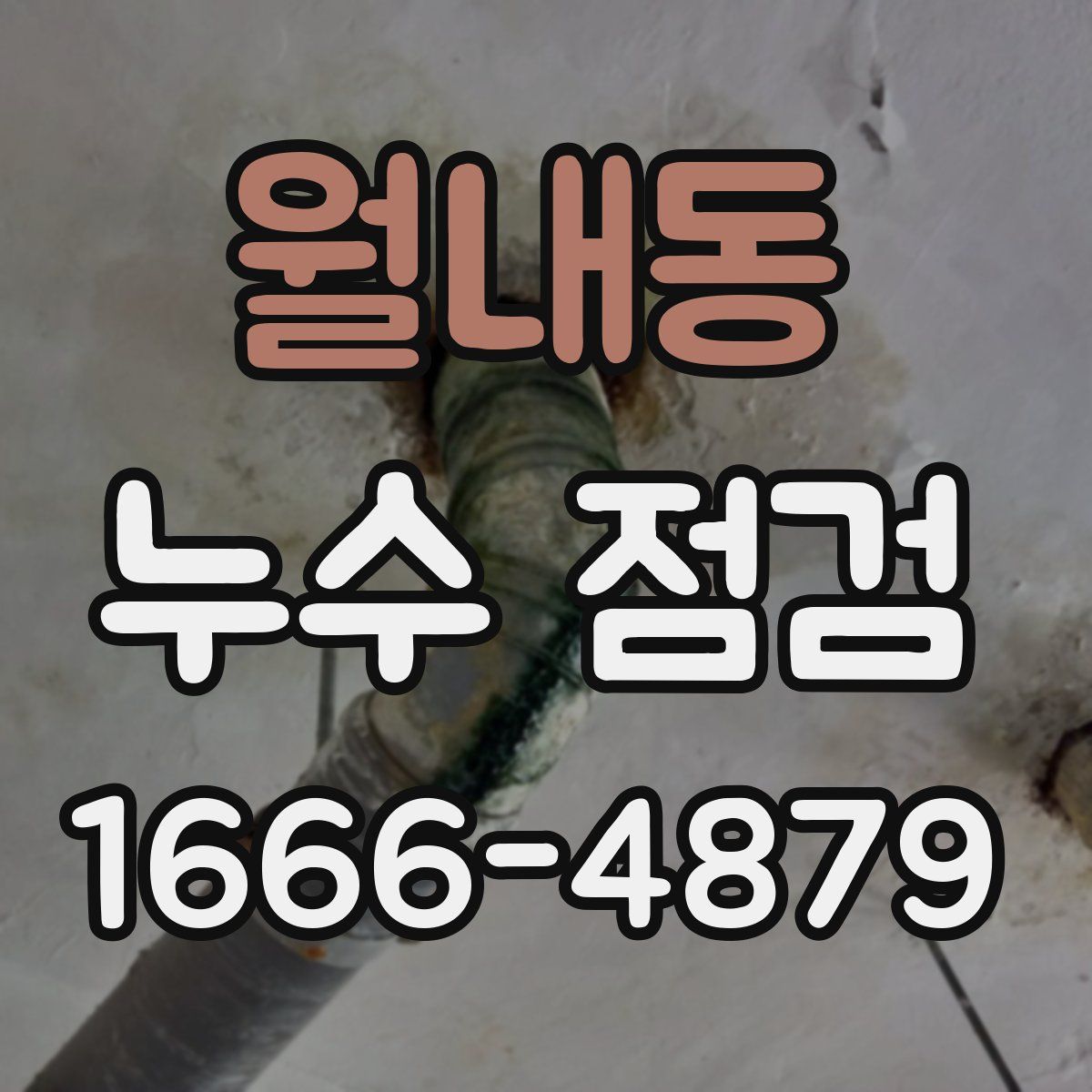 월내동 누수 점검