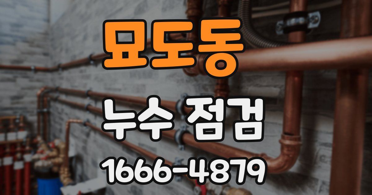 묘도동 누수 점검