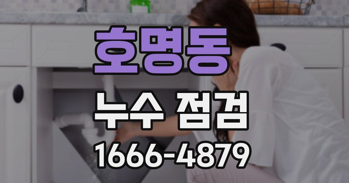 호명동 누수 점검