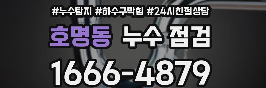호명동 누수 점검