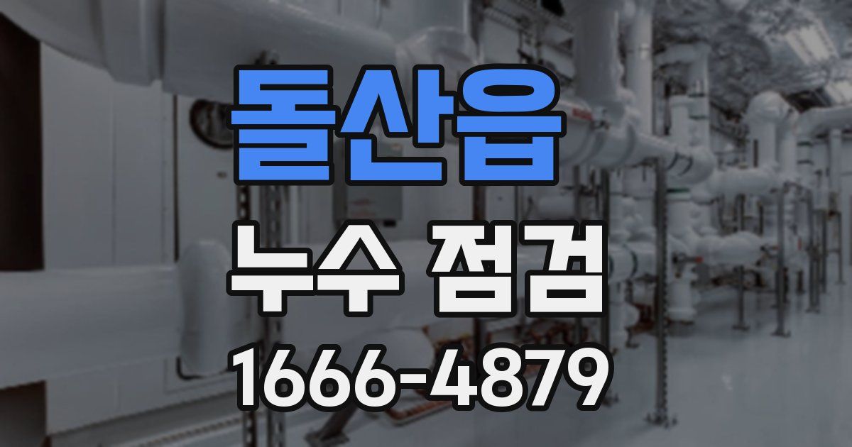 돌산읍 누수 점검