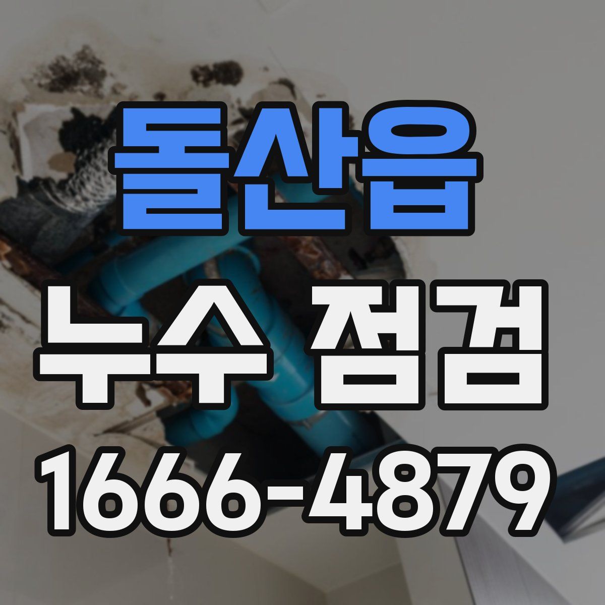 돌산읍 누수 점검