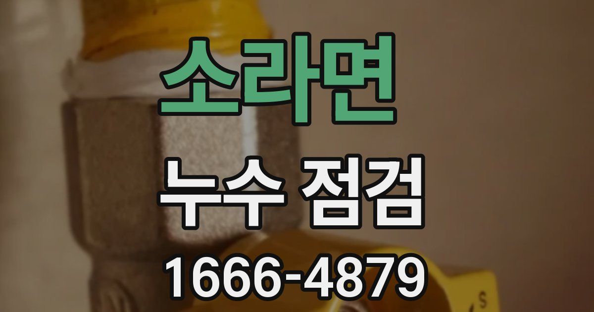 소라면 누수 점검