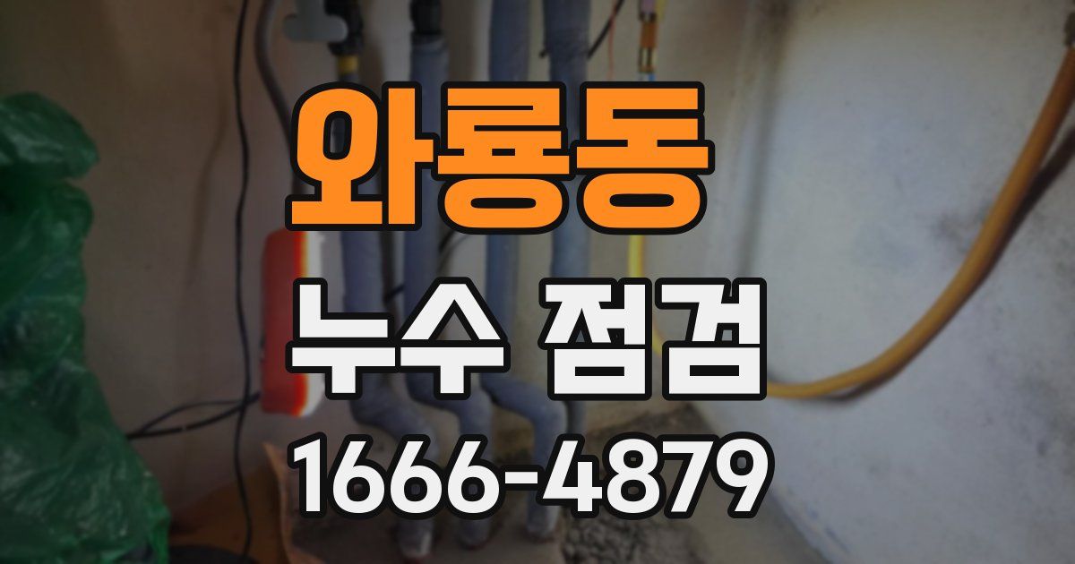 와룡동 누수 점검