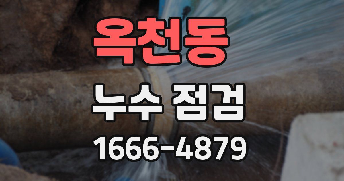 옥천동 누수 점검