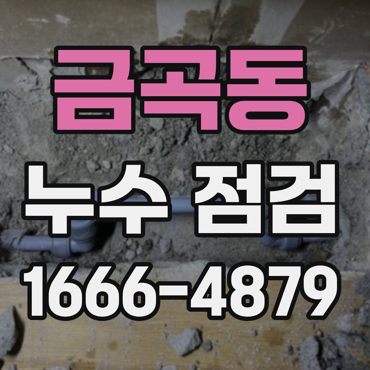 금곡동 누수 점검