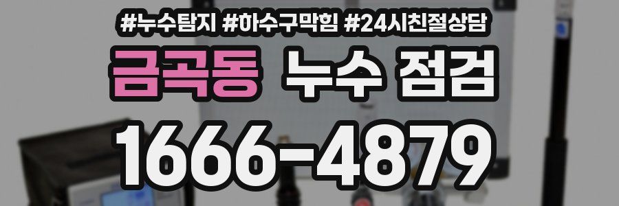 금곡동 누수 점검