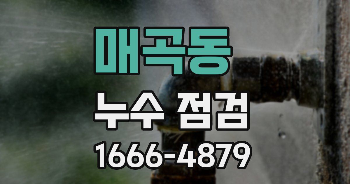 매곡동 누수 점검