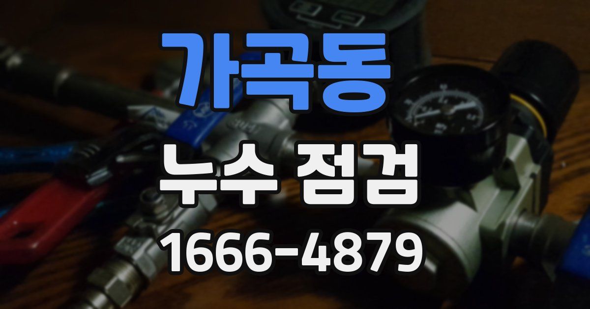가곡동 누수 점검