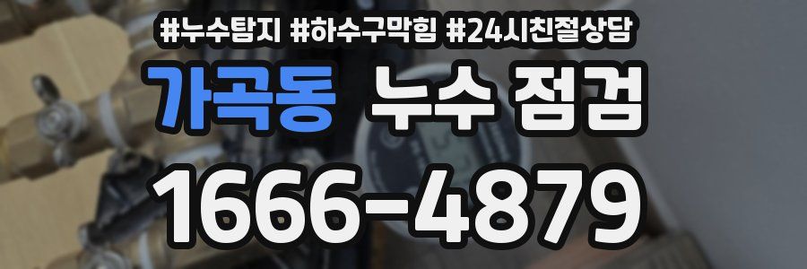가곡동 누수 점검