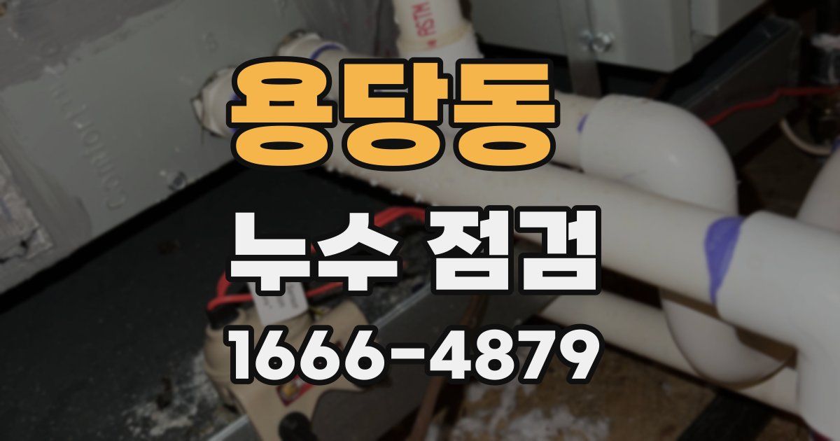 용당동 누수 점검