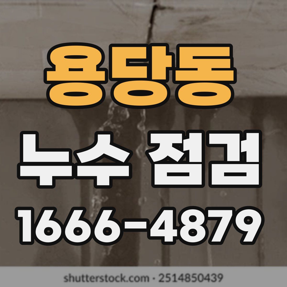 용당동 누수 점검