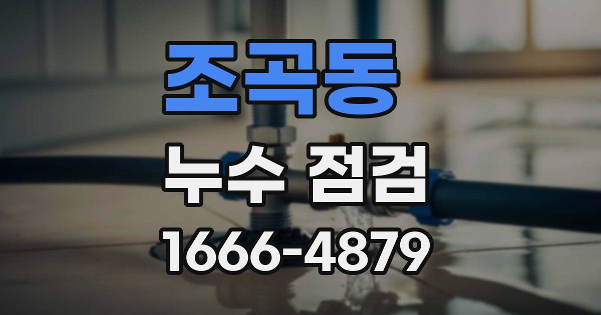 조곡동 누수 점검