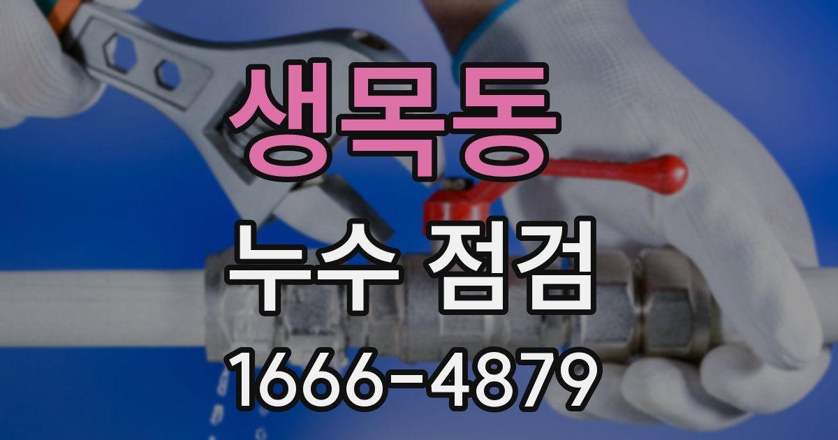 생목동 누수 점검