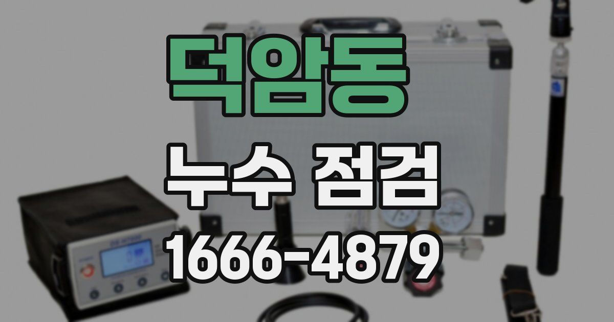 덕암동 누수 점검