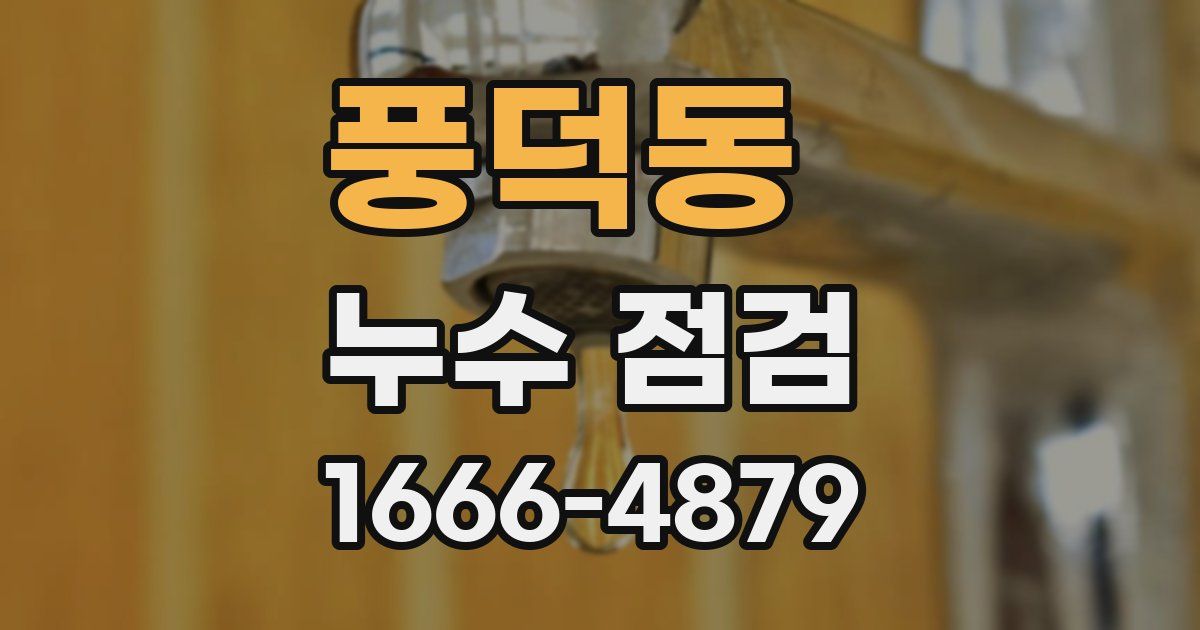 풍덕동 누수 점검