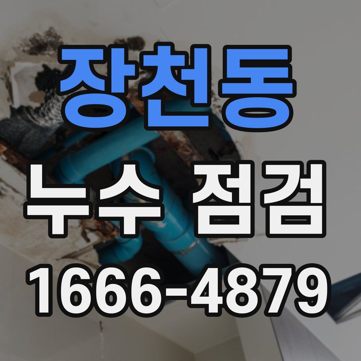 장천동 누수 점검