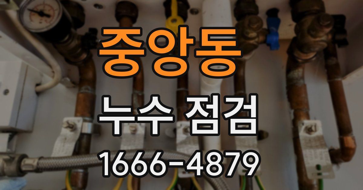 중앙동 누수 점검