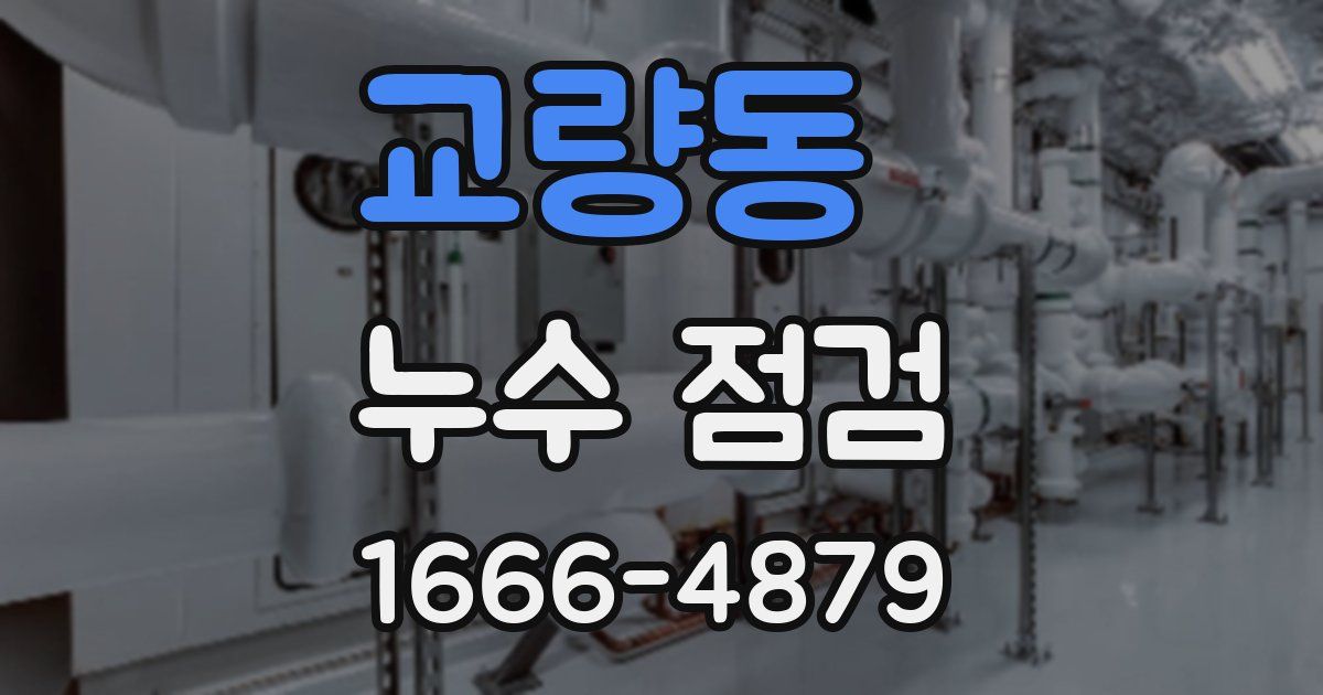 교량동 누수 점검