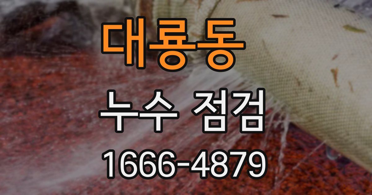 대룡동 누수 점검