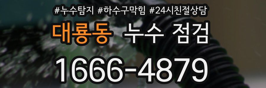 대룡동 누수 점검