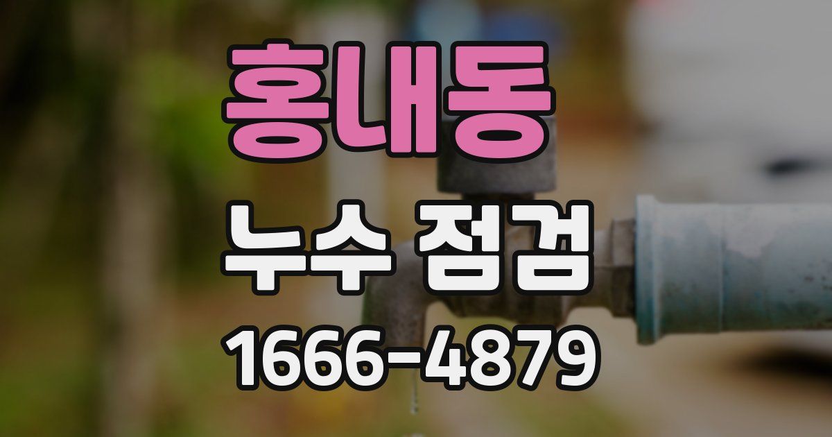 홍내동 누수 점검