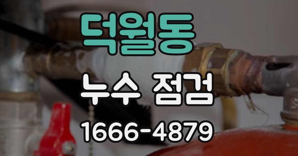 덕월동 누수 점검