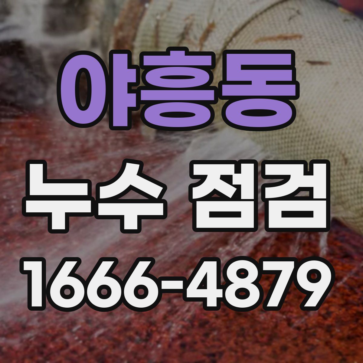 야흥동 누수 점검