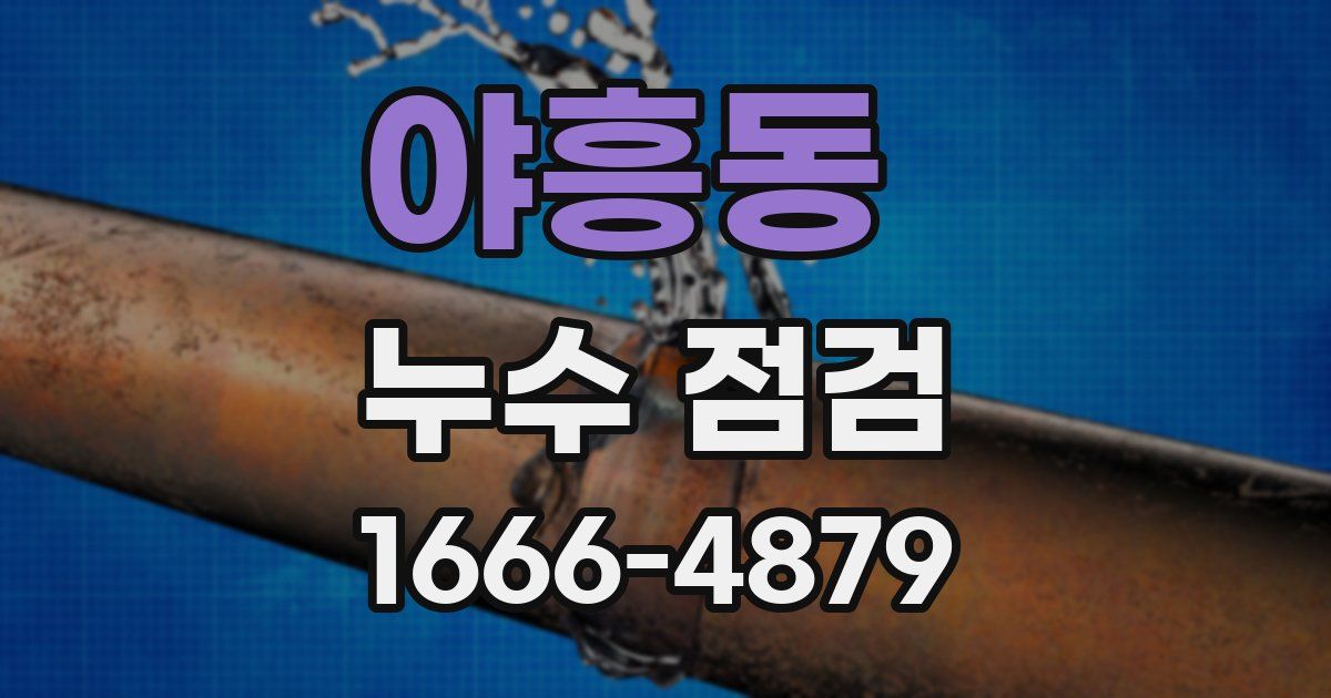 야흥동 누수 점검