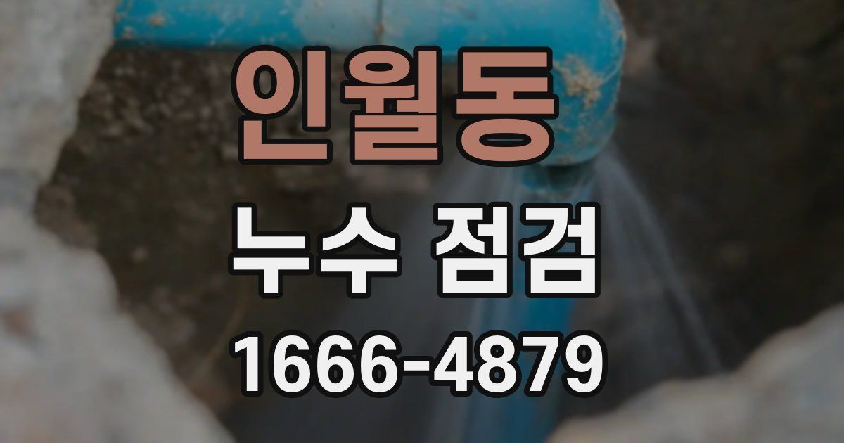 인월동 누수 점검