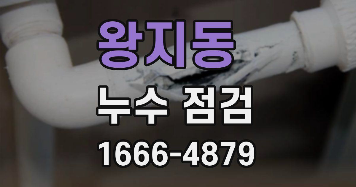 왕지동 누수 점검