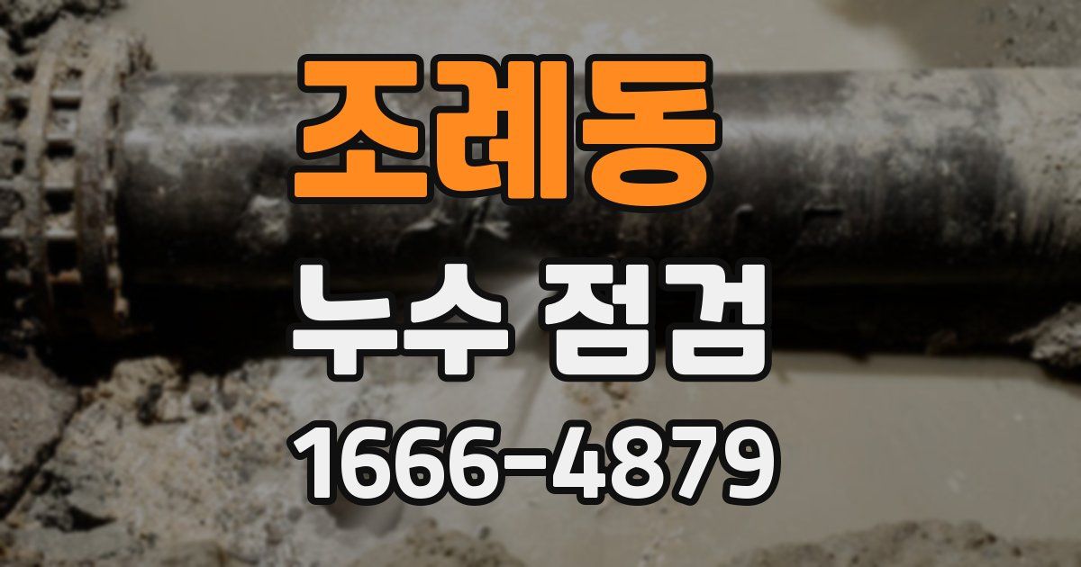 조례동 누수 점검