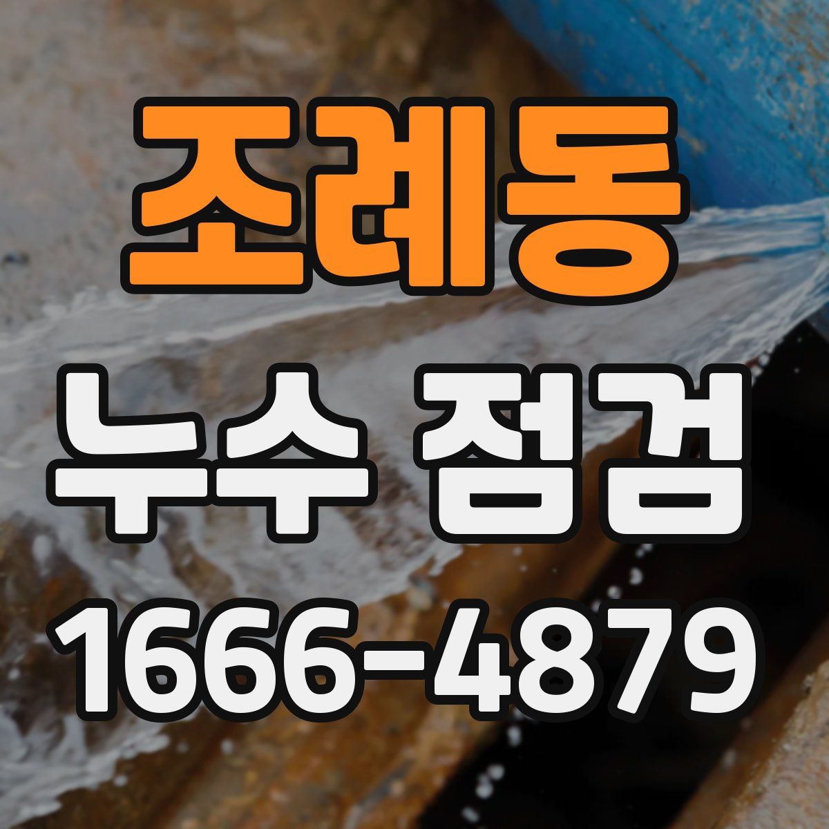 조례동 누수 점검