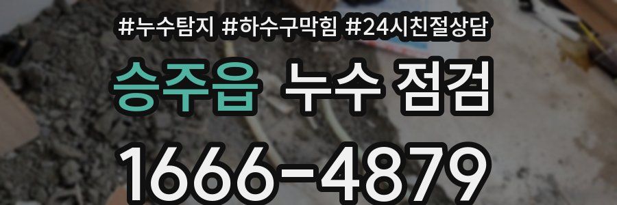 승주읍 누수 점검