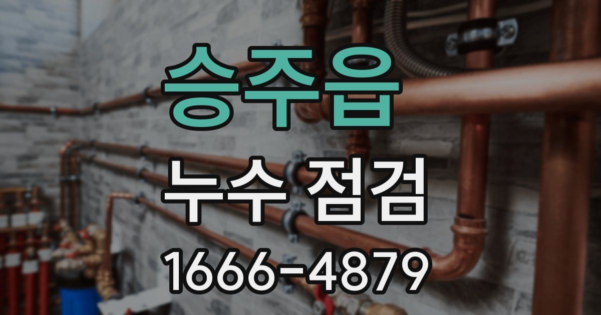 승주읍 누수 점검
