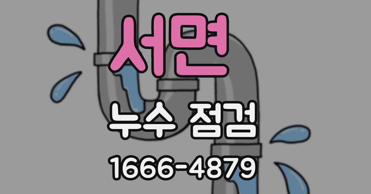 서면 누수 점검