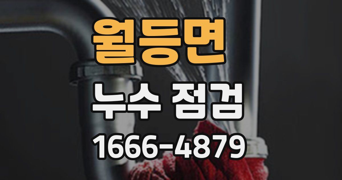 월등면 누수 점검