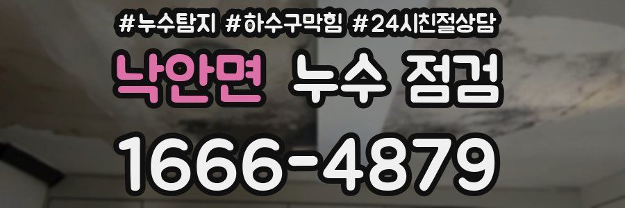 낙안면 누수 점검