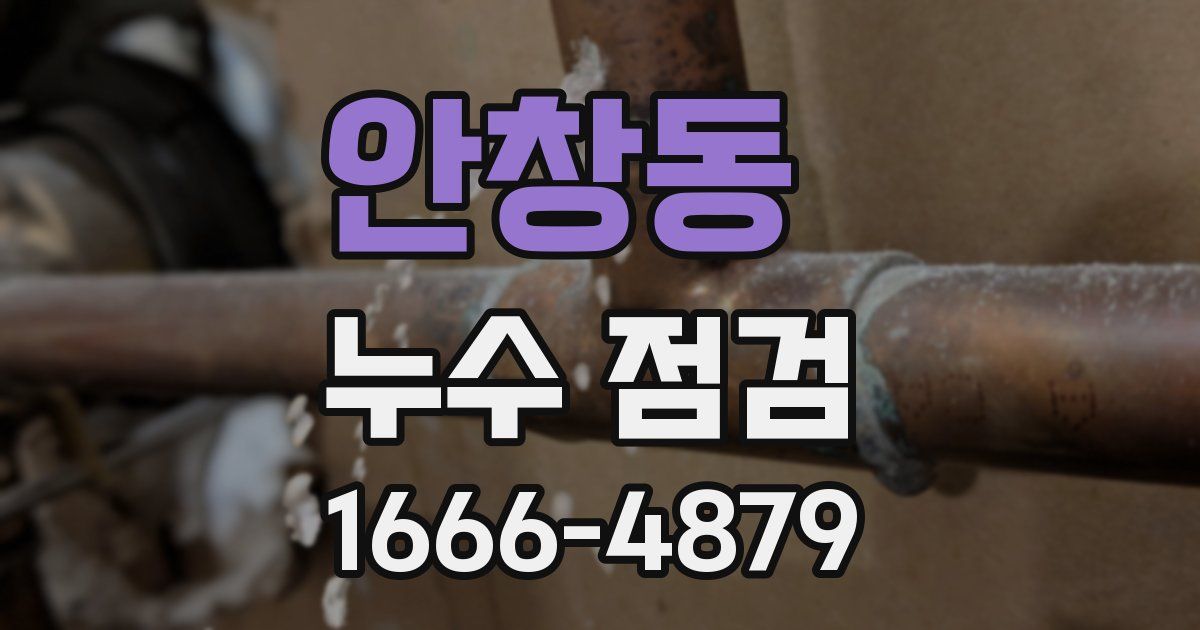 안창동 누수 점검