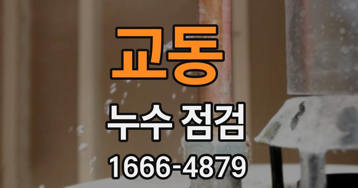 교동 누수 점검