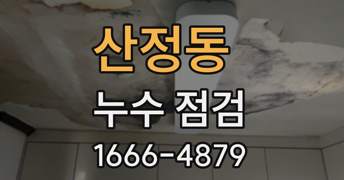 산정동 누수 점검