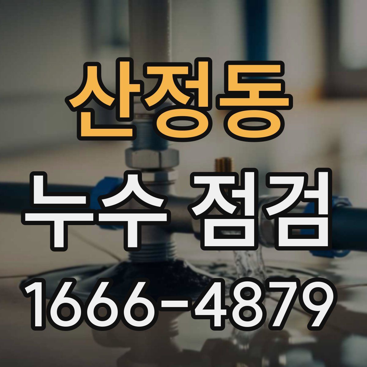 산정동 누수 점검