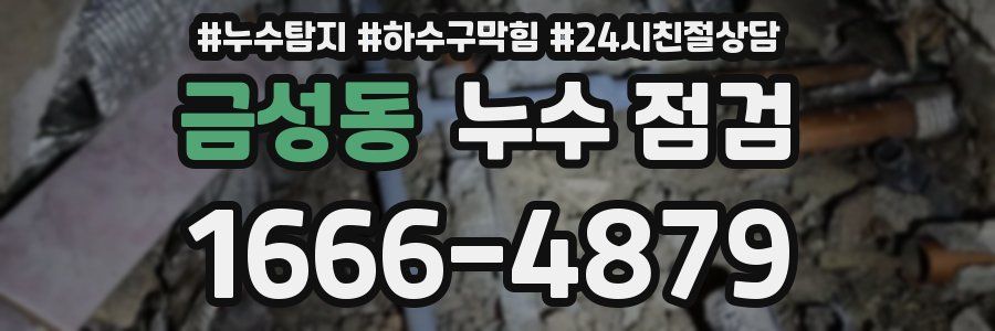 금성동 누수 점검