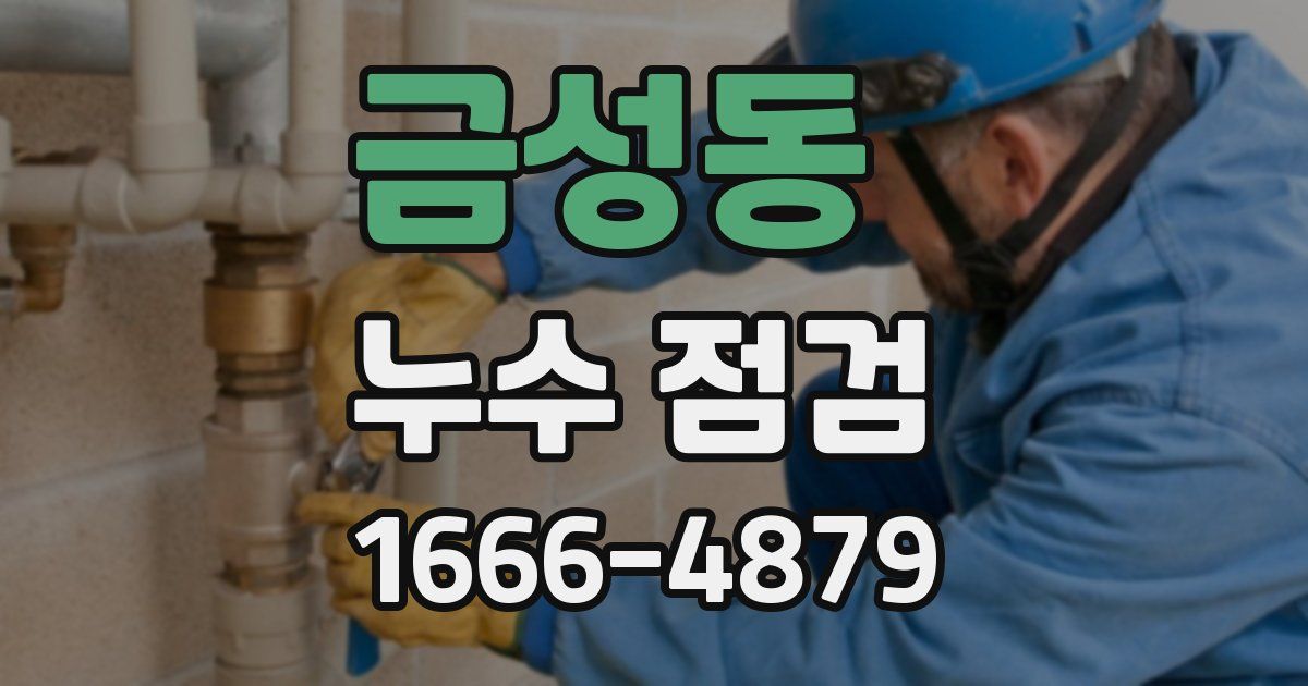 금성동 누수 점검