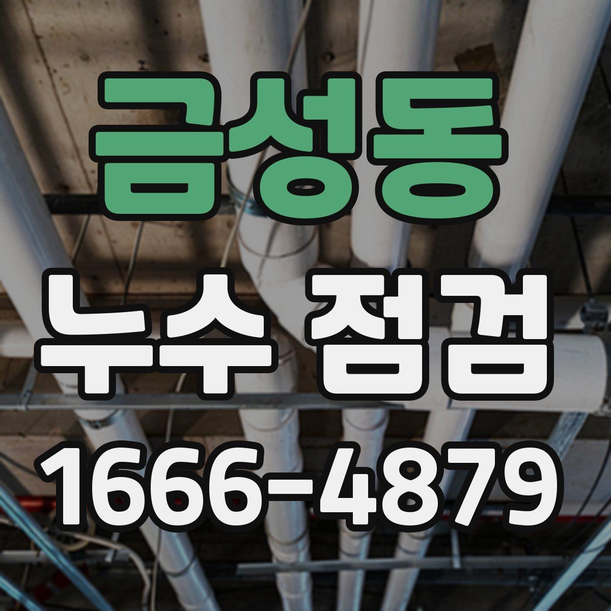 금성동 누수 점검